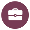 Business Enterprise Program Icon